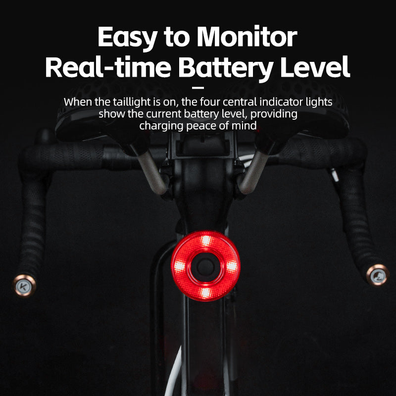 ROCKBROS Upgraded Smart Bicycle Brake Light USB-C Rechargeable IPX7 Waterproof Cycling Rear Light
