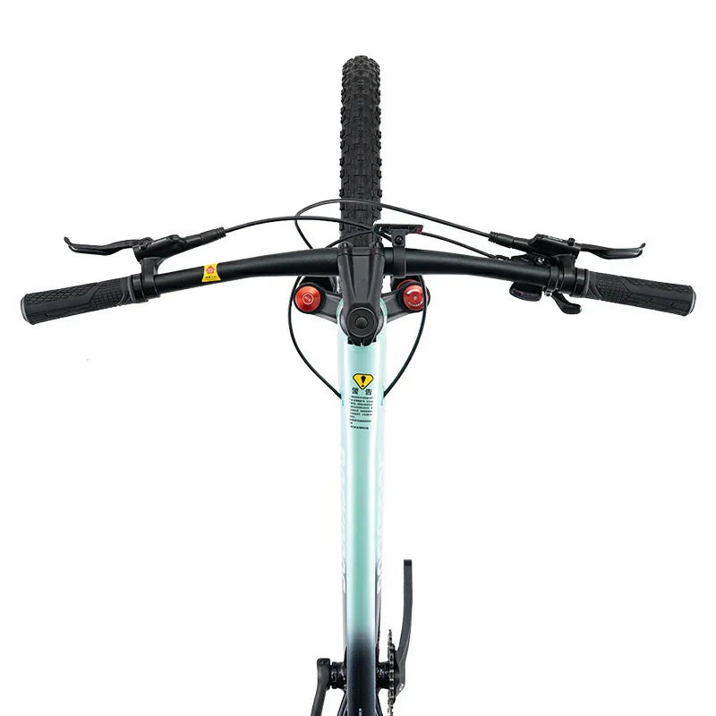 MT600 - 29‘’ Mountain Bike