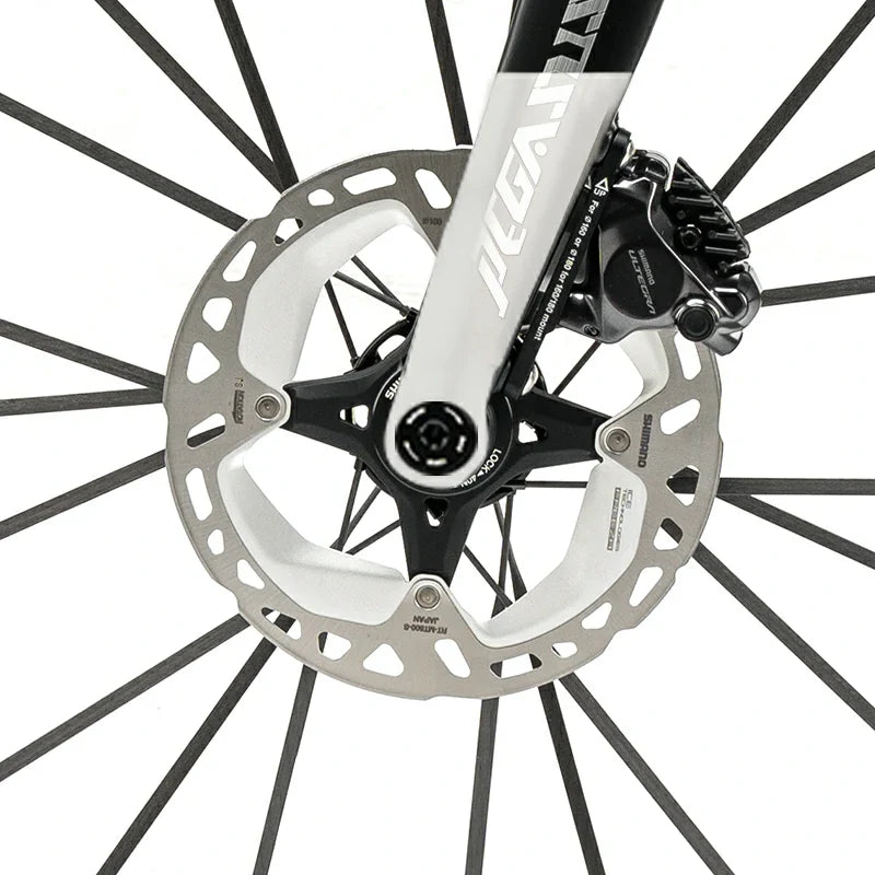 PGZ - Carbon Fiber Road Bike – Black and White