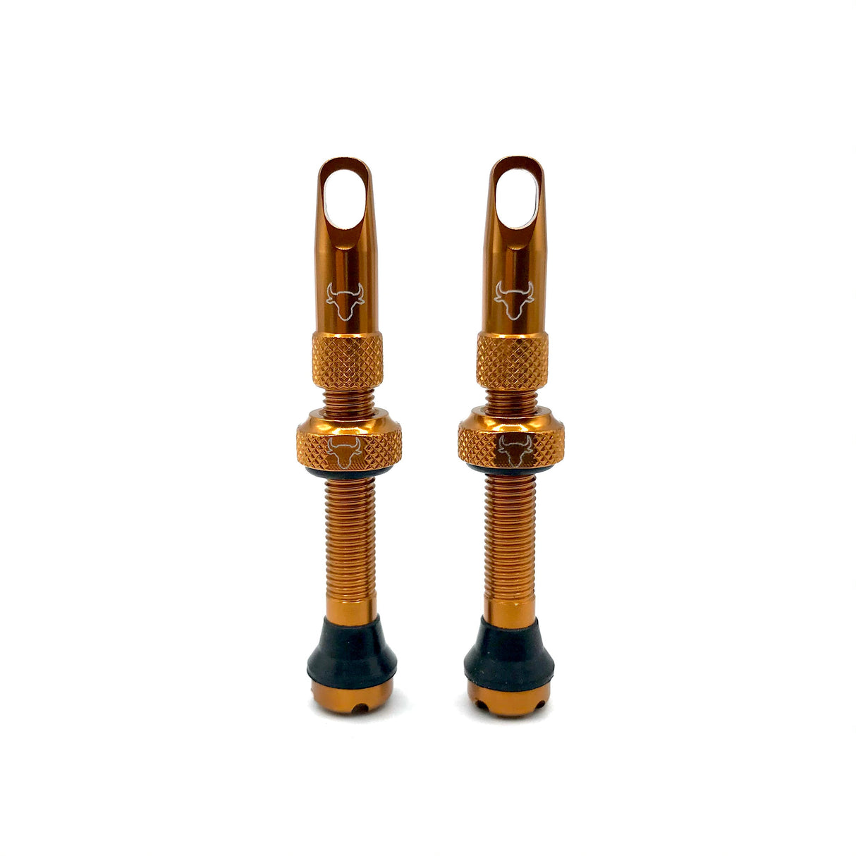 Insert Compatible Tubeless Valves