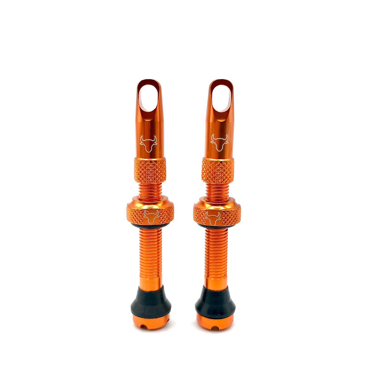 Insert Compatible Tubeless Valves