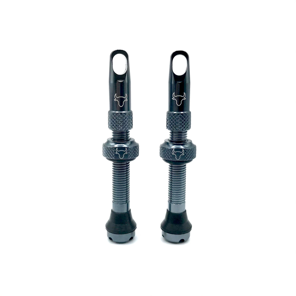 Insert Compatible Tubeless Valves