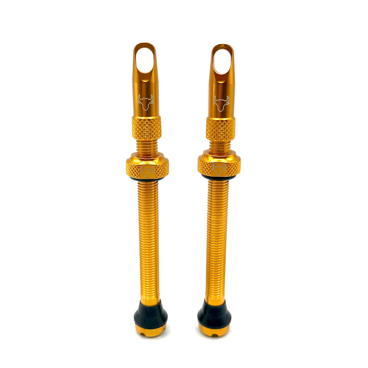 Insert Compatible Tubeless Valves