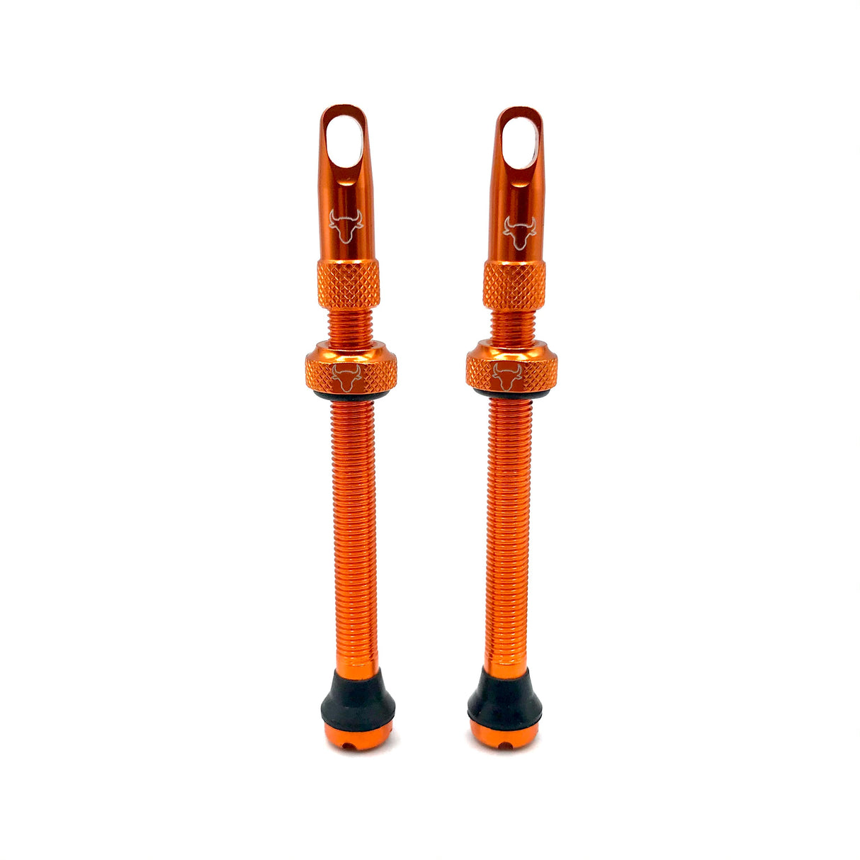 Insert Compatible Tubeless Valves
