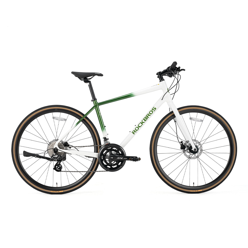 ROCKBROS RIDA P2E Series Road Bike
