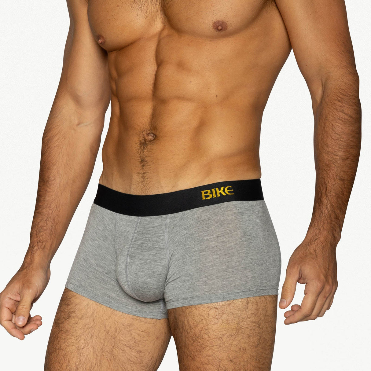 Active Trunk