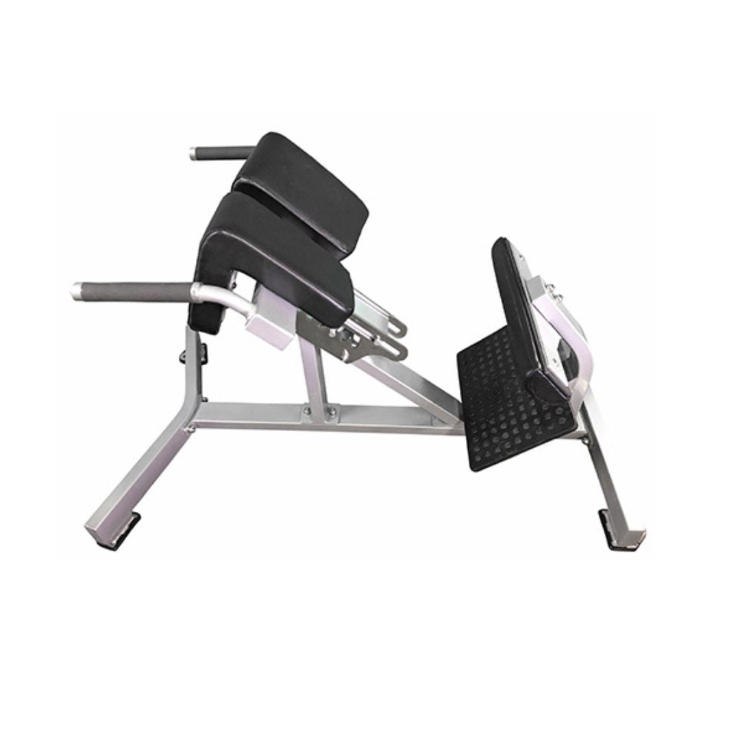 Back Extension Bench - Muscle D Fitness - Premium Upholstery Lower Back, Roman Chair