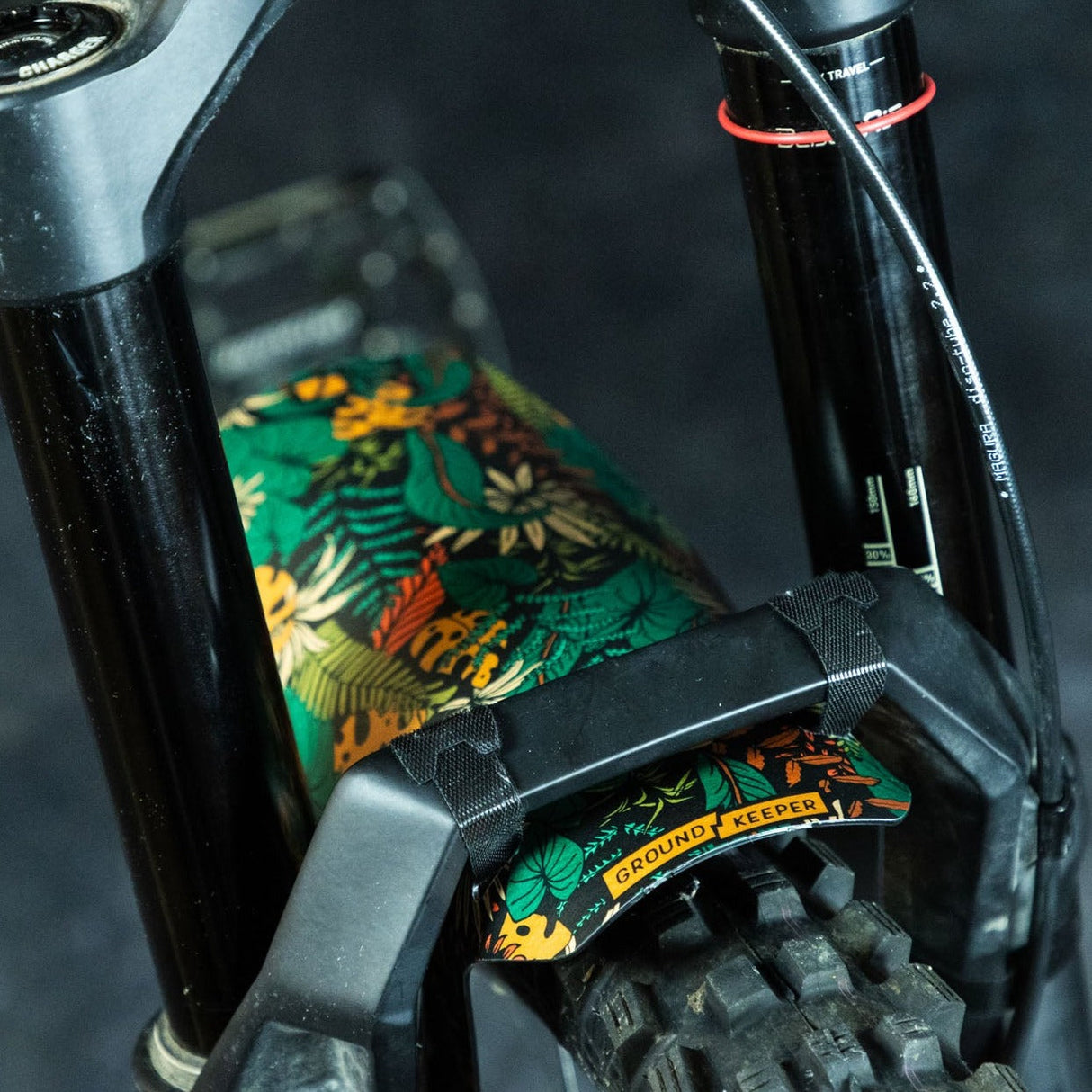 Botanic Revival Fender