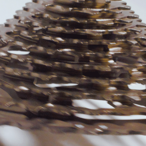 Helix Race 12-Speed 9-50T Cassette