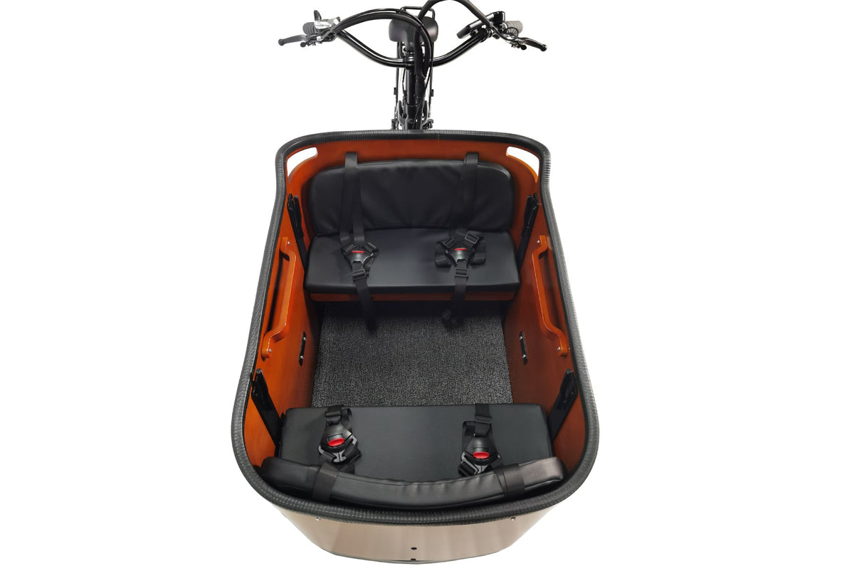 Caravan Electric Cargo Bike