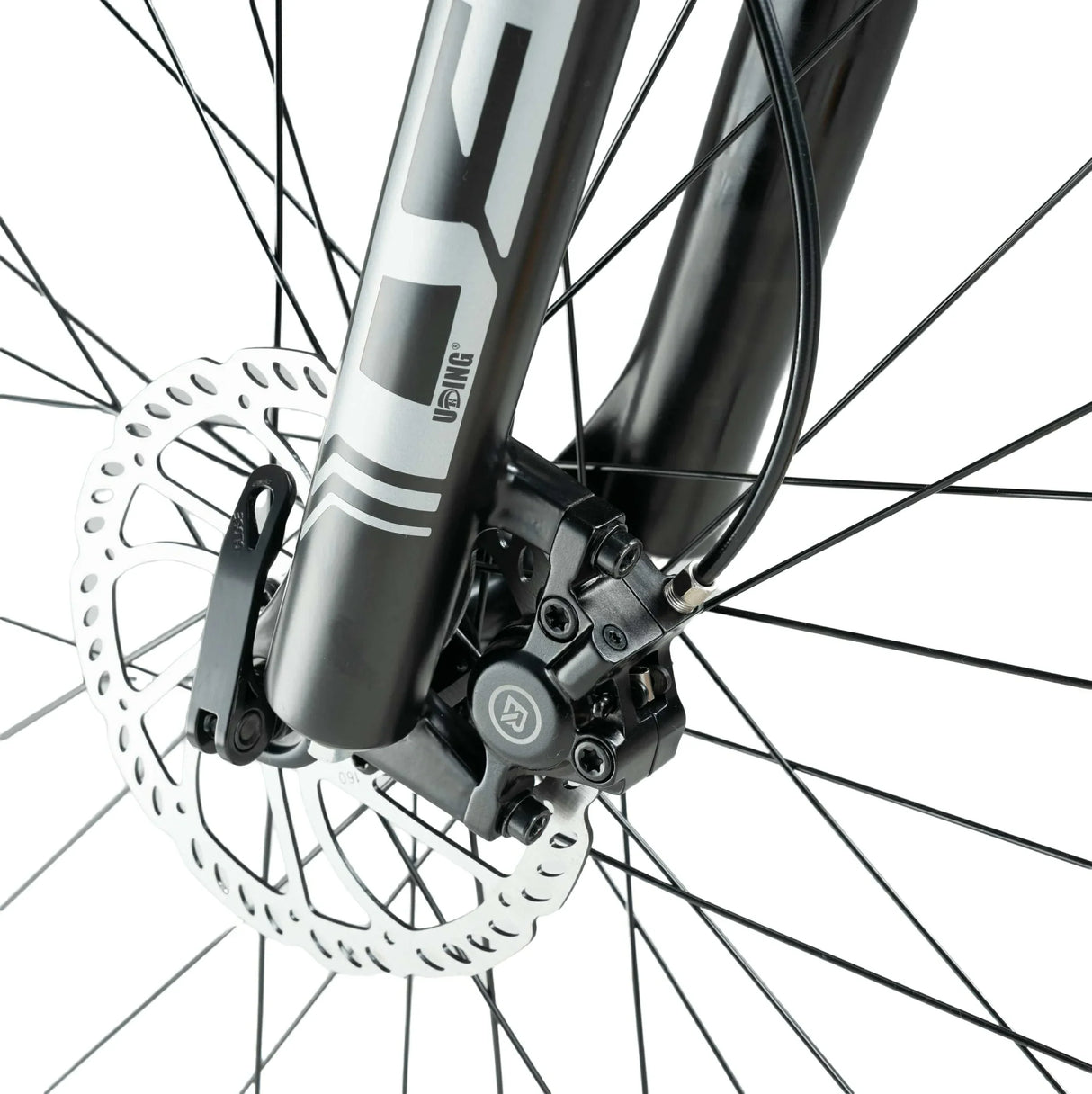 Darwin V 26-Inch Mountain Bike