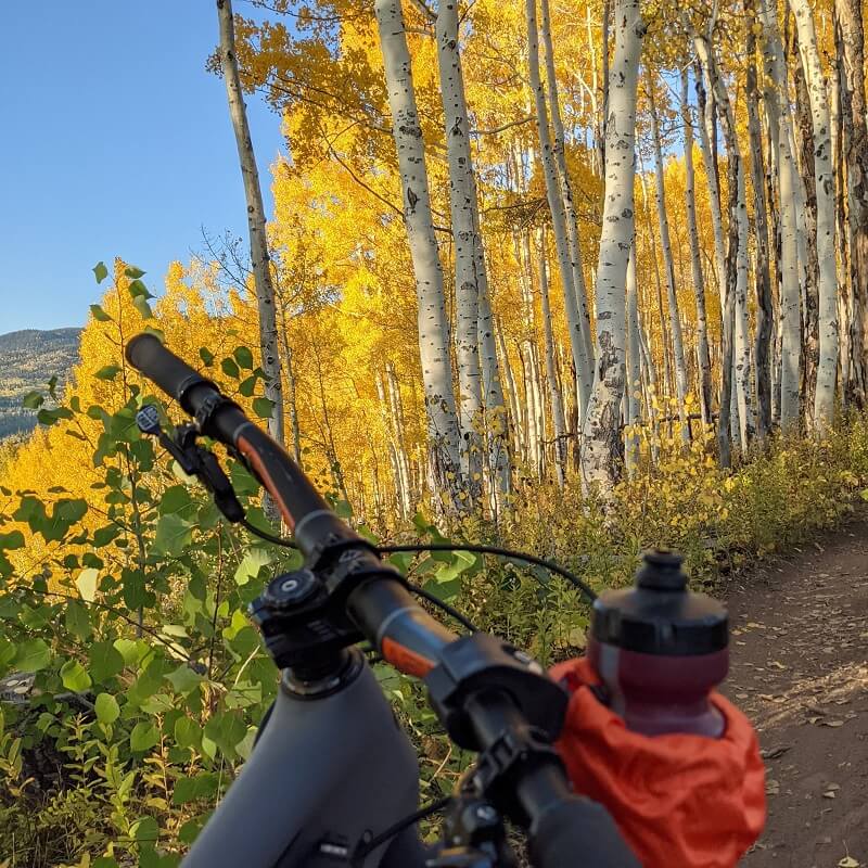 PSL Orange | Shock-Absorbing Cup Holder