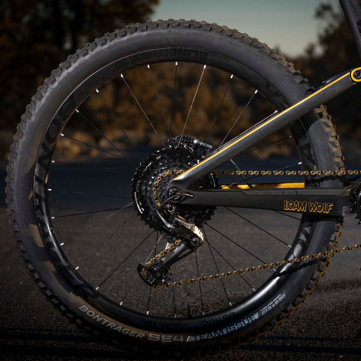 TRS Plus 11 Speed Cassette - Gen2