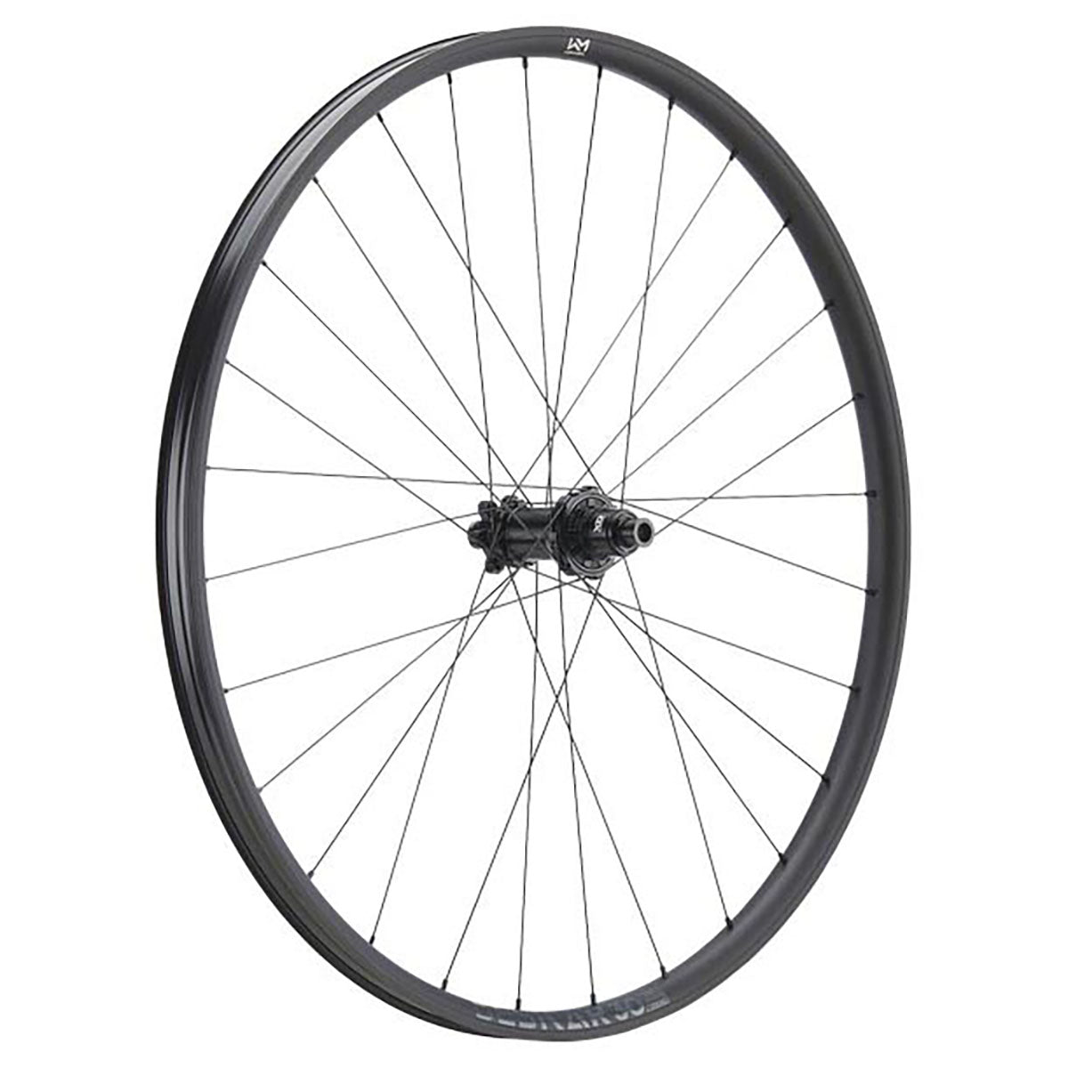 NEWMEN Rear Wheel - Beskar 30 base 29" 28h FADE SP 6B 12x148 XD - Trail