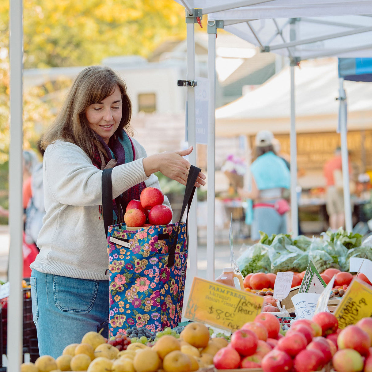 Orchard Grocery Pannier