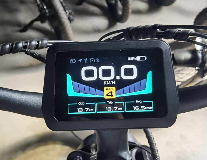 Pioneer Plus Hunting Electric Bike