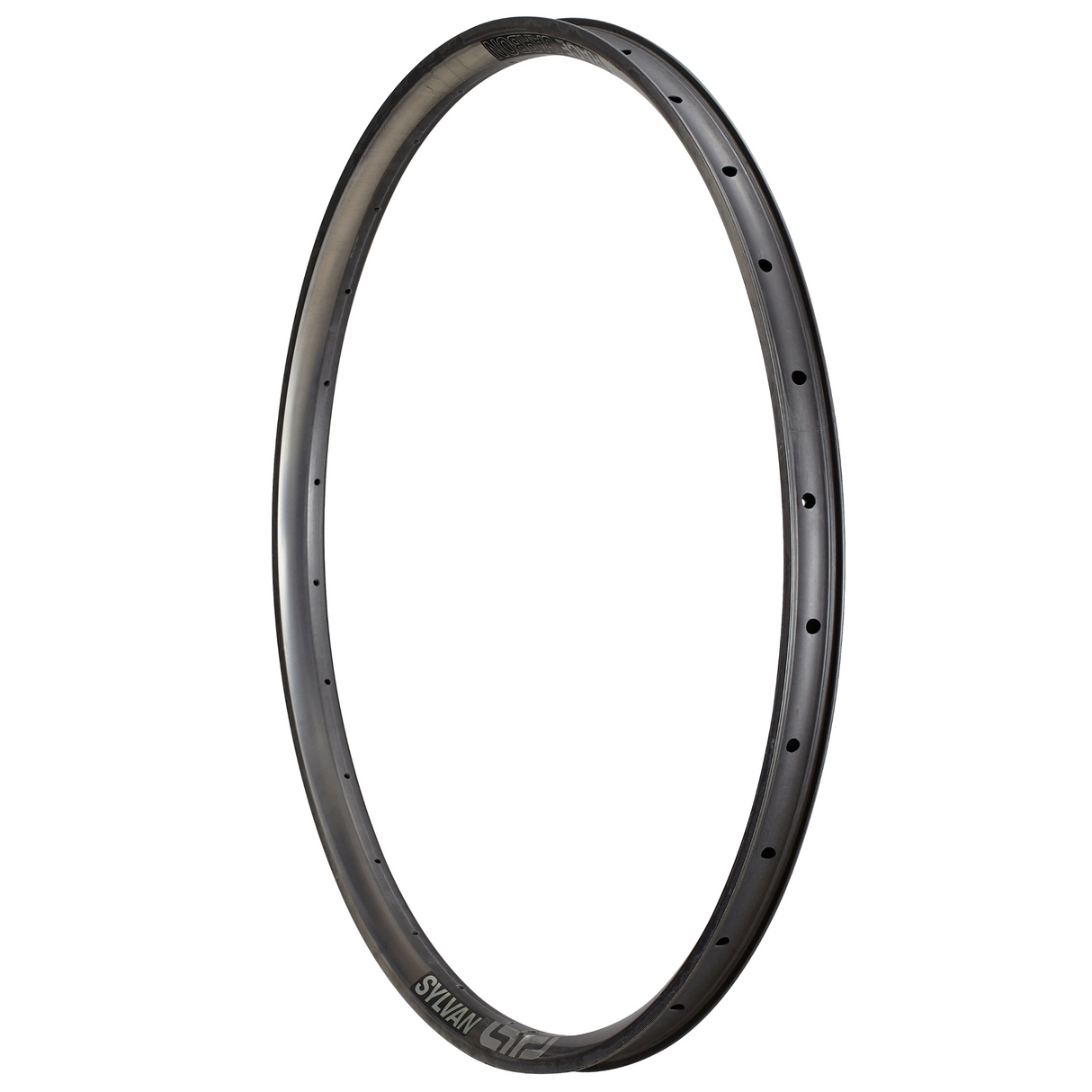 Sylvan Race Carbon All Mountain Rim