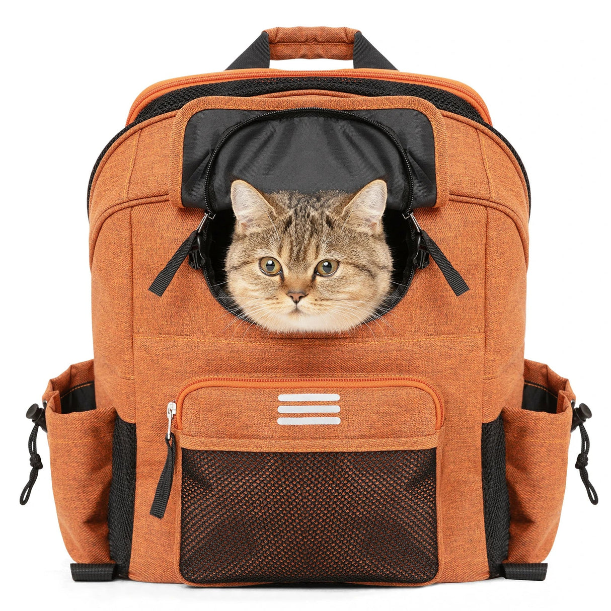 ROCKBROS Folding Bike Pet Bag Backpack