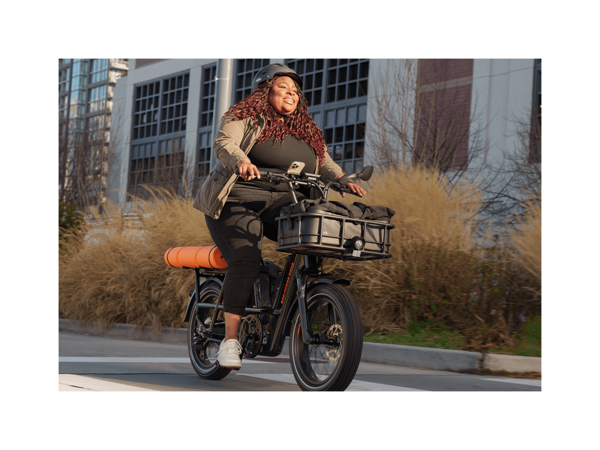RadRunner™ Max Electric Cargo Utility Bike