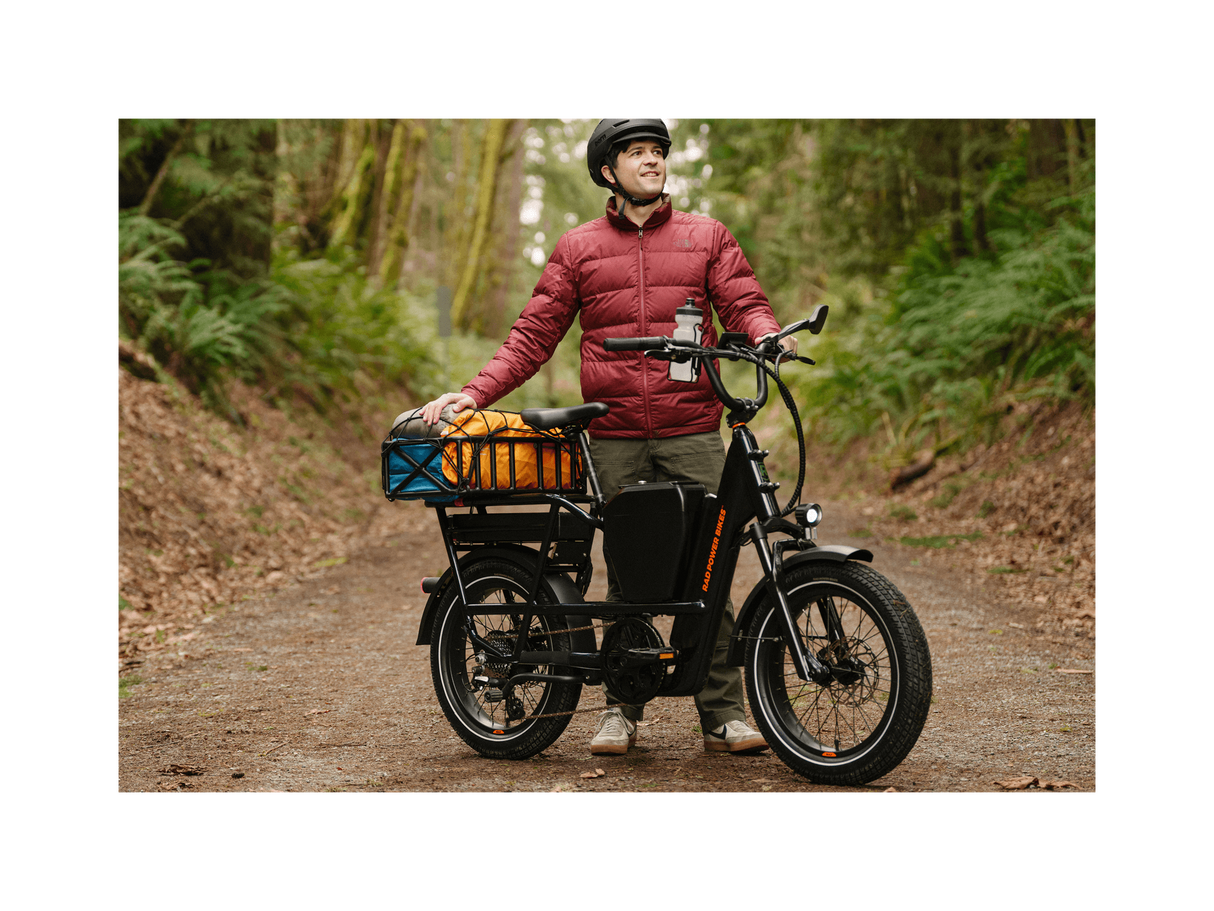 RadRunner™ Max Electric Cargo Utility Bike