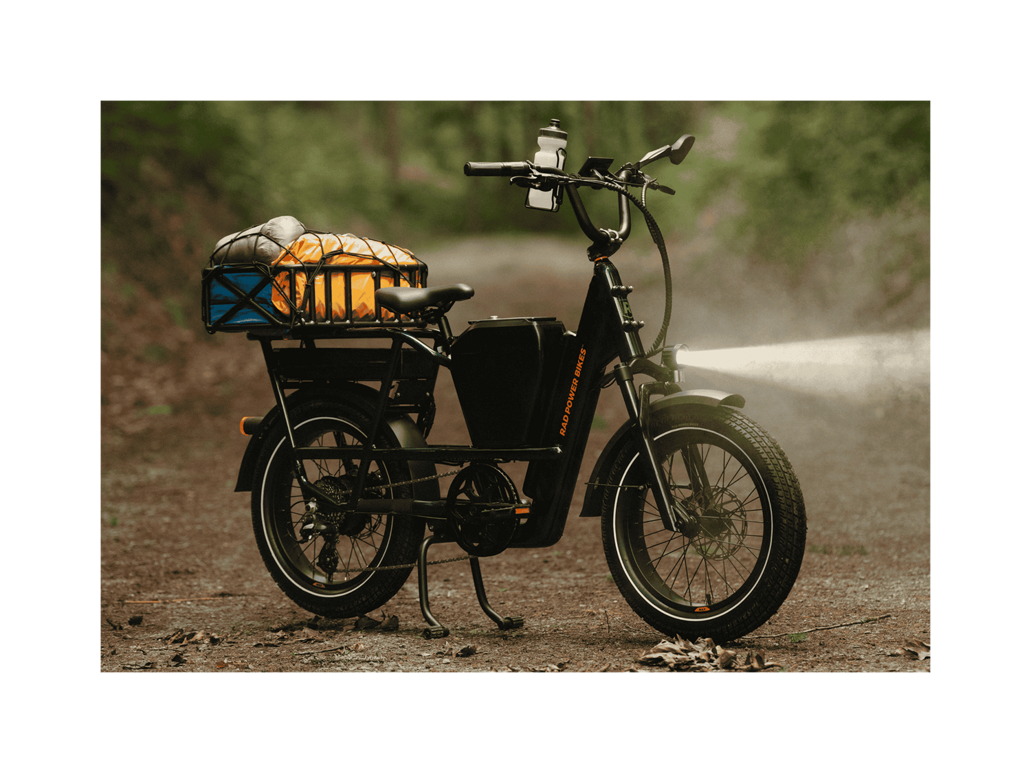 RadRunner™ Max Electric Cargo Utility Bike