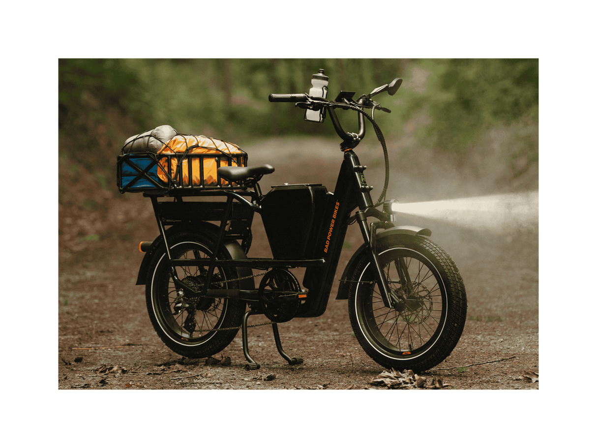 RadRunner™ Max Electric Cargo Utility Bike