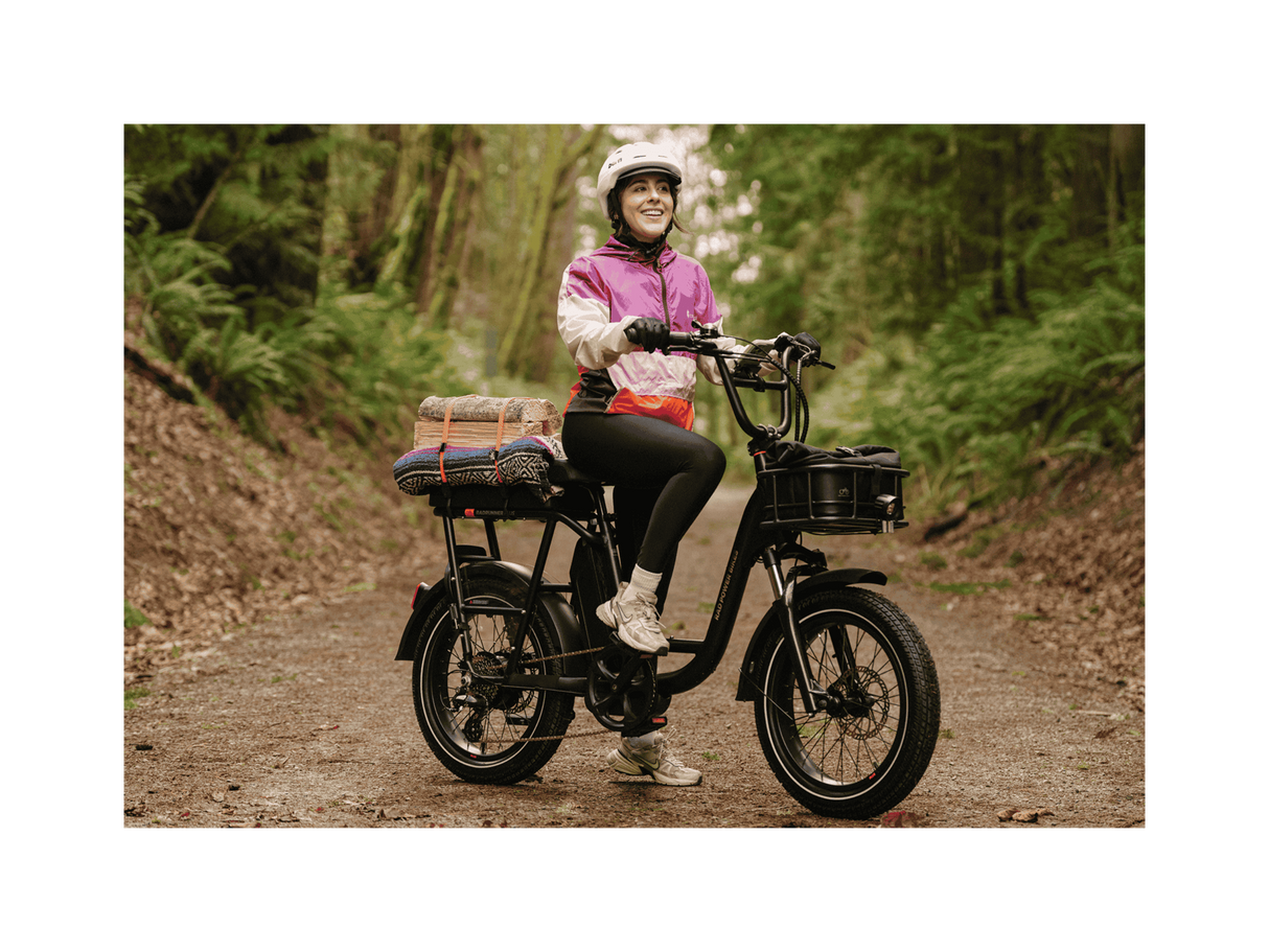 RadRunner™ Plus Electric Cargo Utility Bike