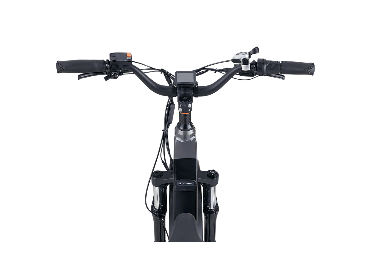 RadRover™ 6 Plus Electric Fat Tire Bike