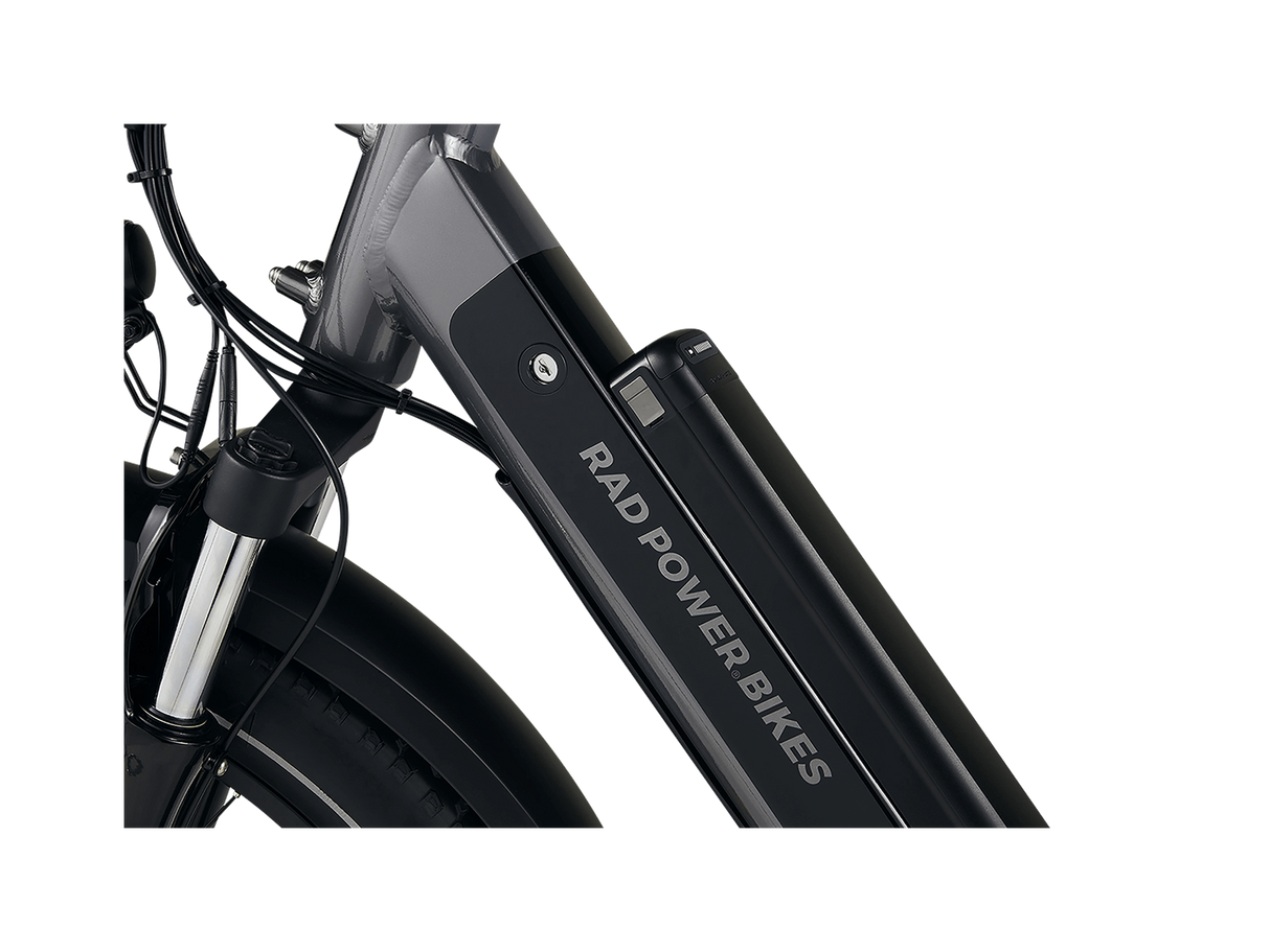 RadRover™ 6 Plus Electric Fat Tire Bike