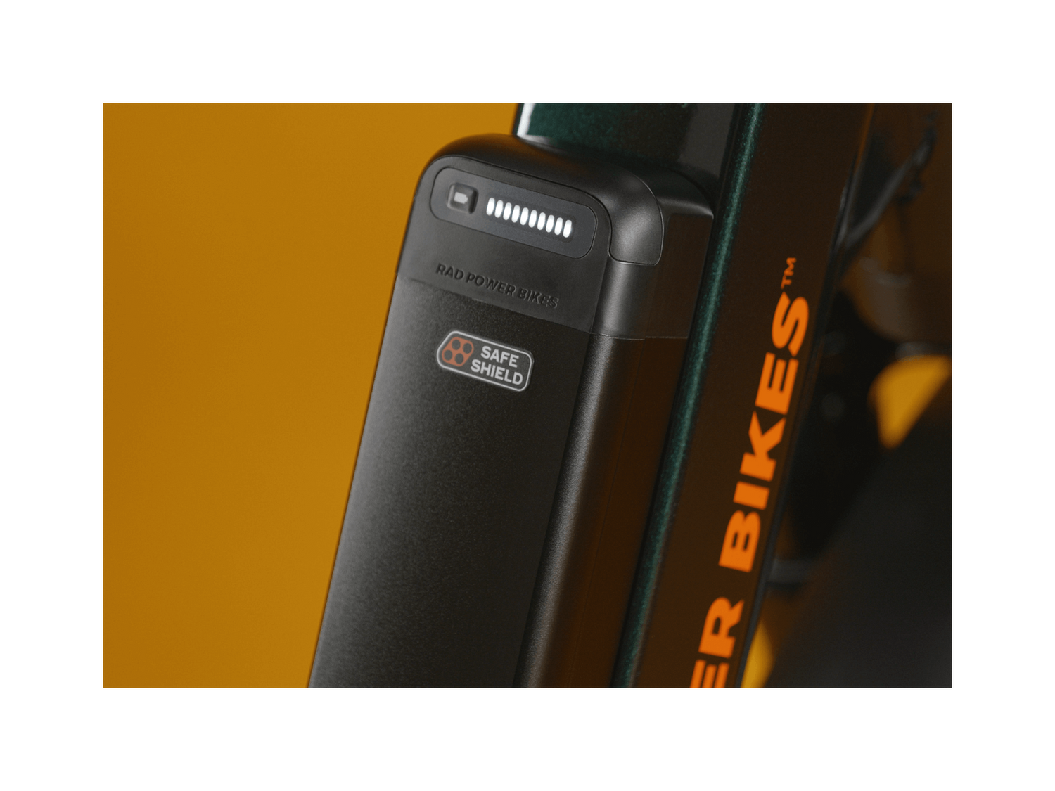 RadRunner™ Max Electric Cargo Utility Bike