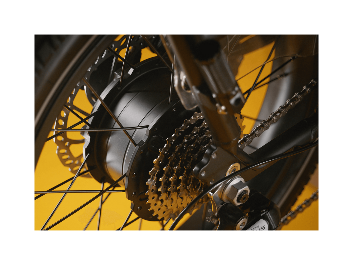 RadRunner™ Max Electric Cargo Utility Bike