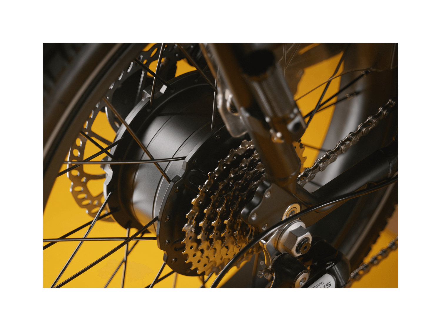 RadRunner™ Max Electric Cargo Utility Bike