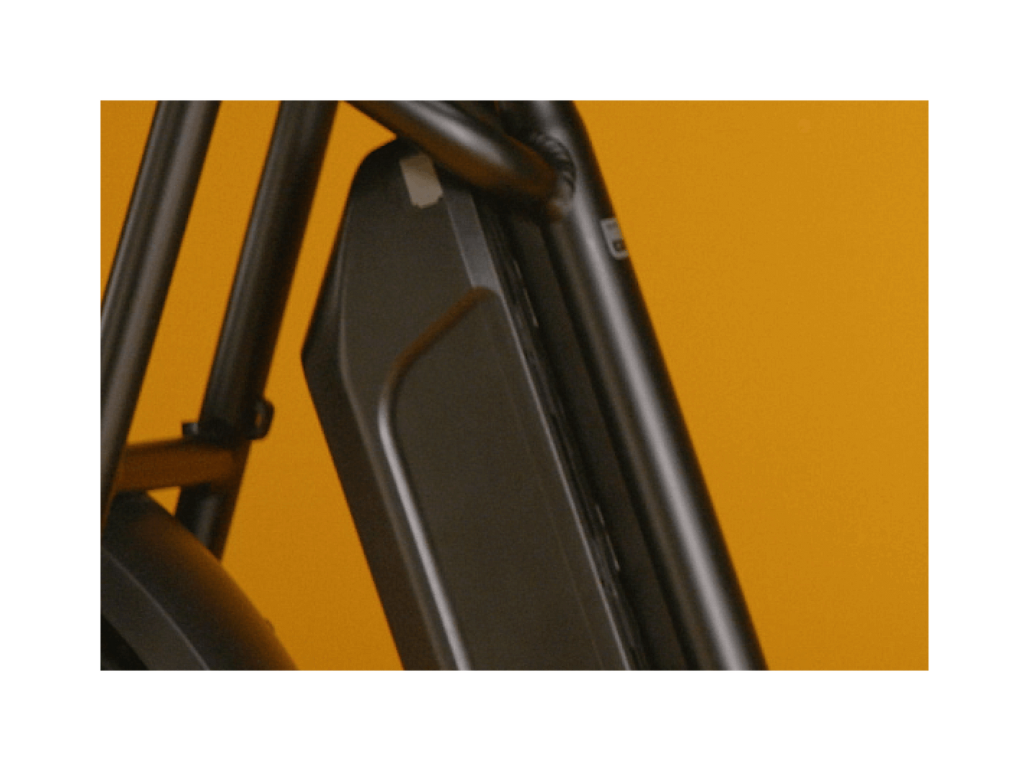 RadRunner™ Plus Electric Cargo Utility Bike