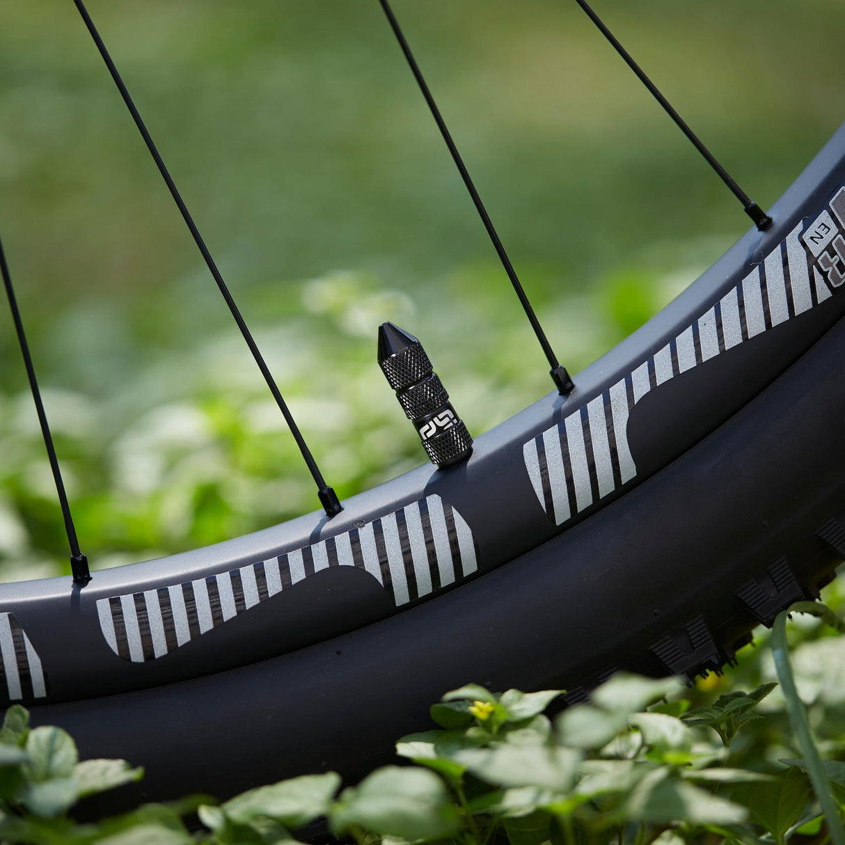 Quick Fill Schrader Tubeless Valves