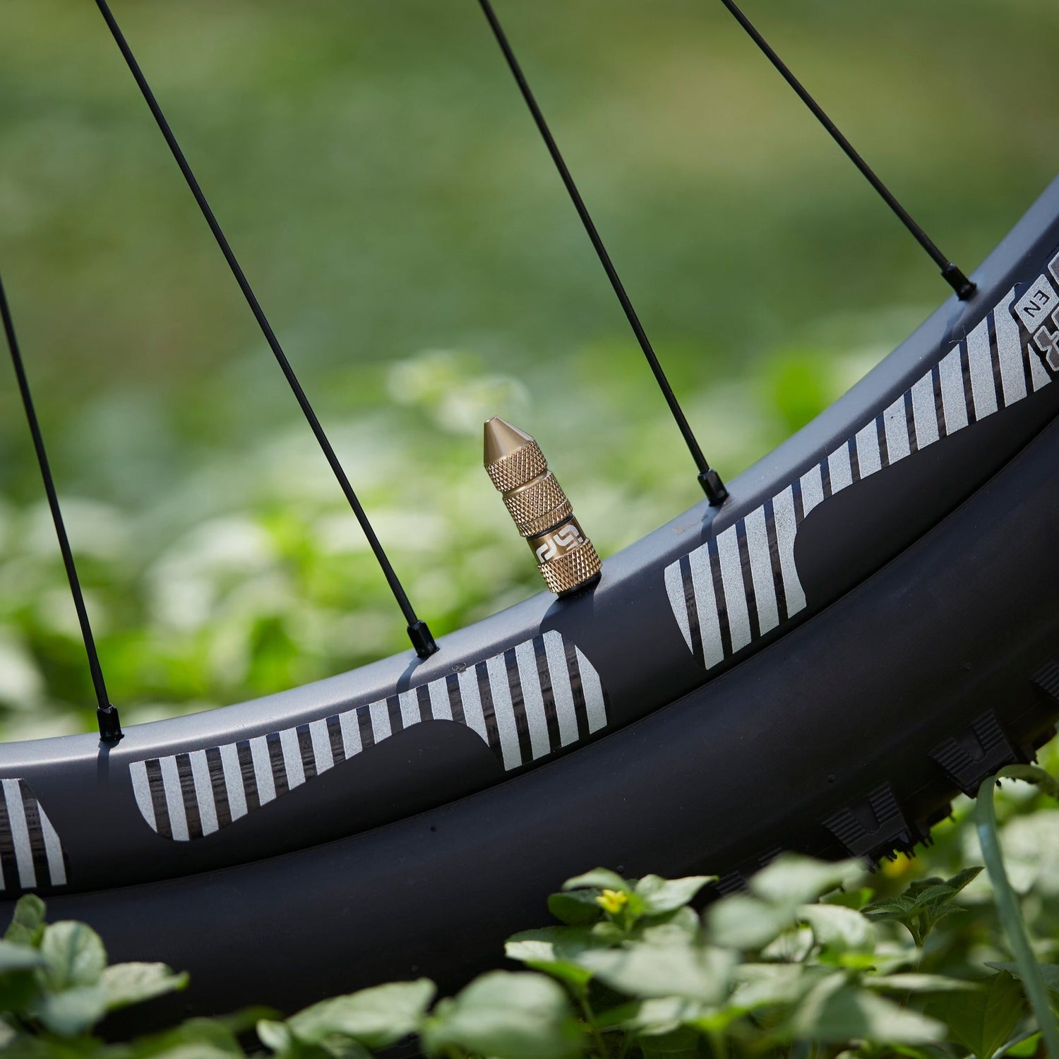 Quick Fill Schrader Tubeless Valves