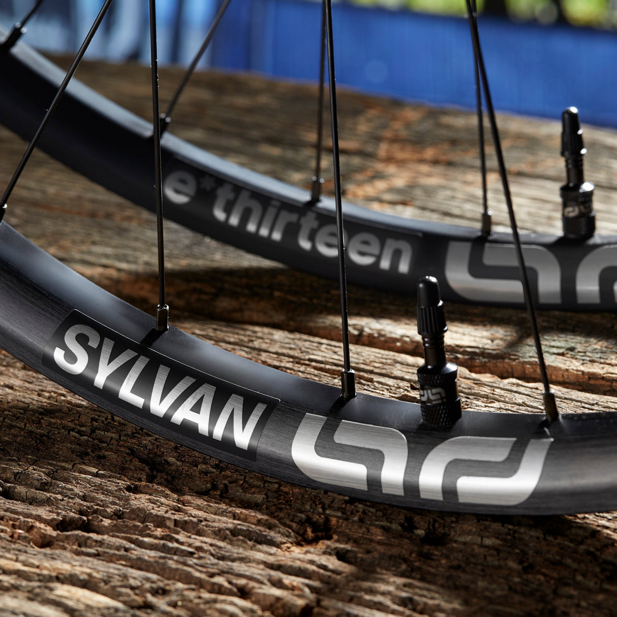 Sylvan Race Alloy e*spec All Mountain Wheels - Superboost 157 Rear