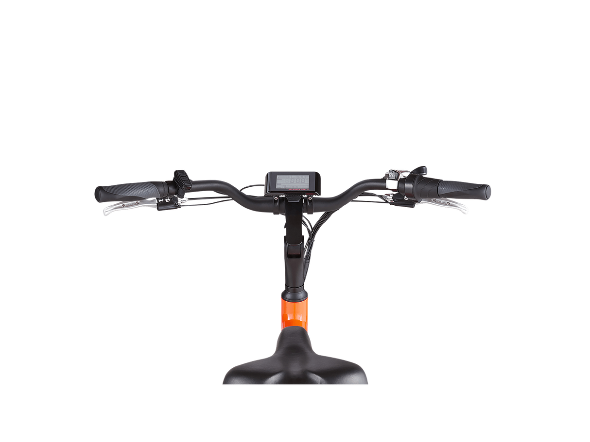 RadWagon™ 4 Electric Cargo Bike