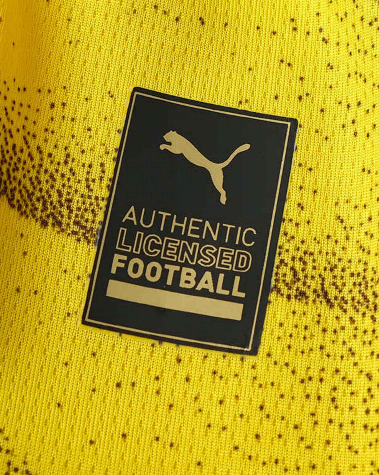DORTMUND CHAMPIONS LEAGUE HOME 2023/24