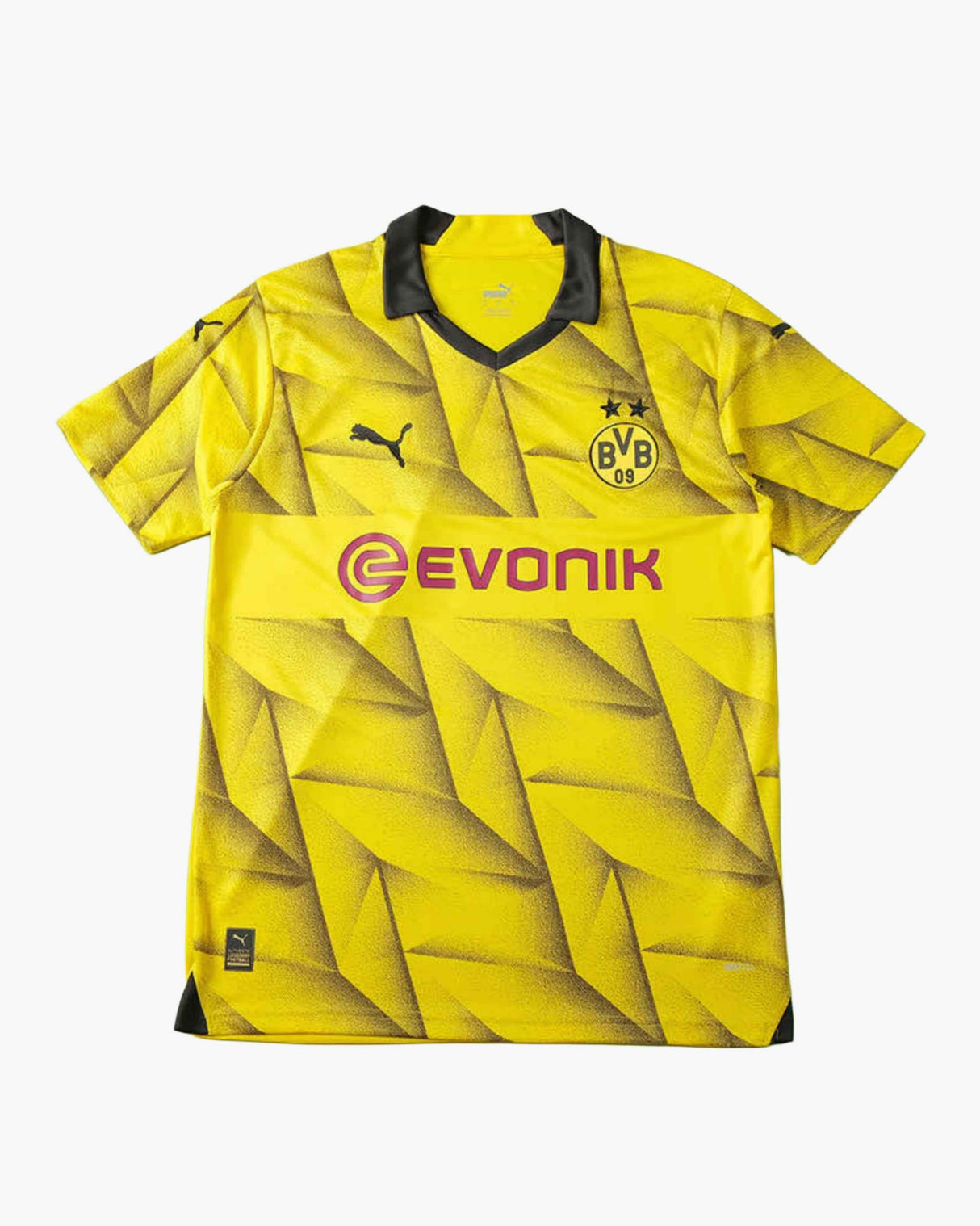 DORTMUND CHAMPIONS LEAGUE HOME 2023/24
