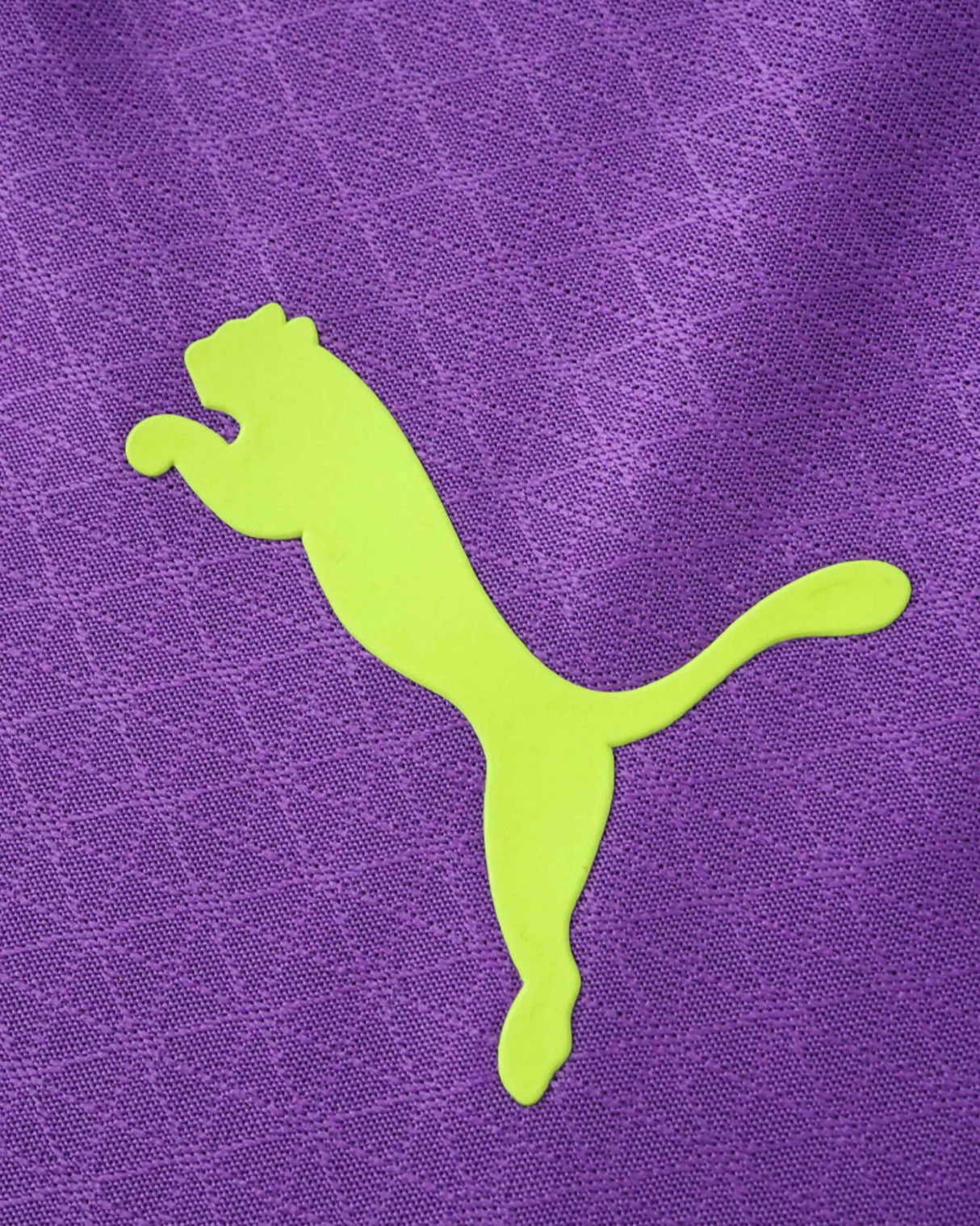 DORTMUND x BORUSSIA PURPLE PREMIUM KIT