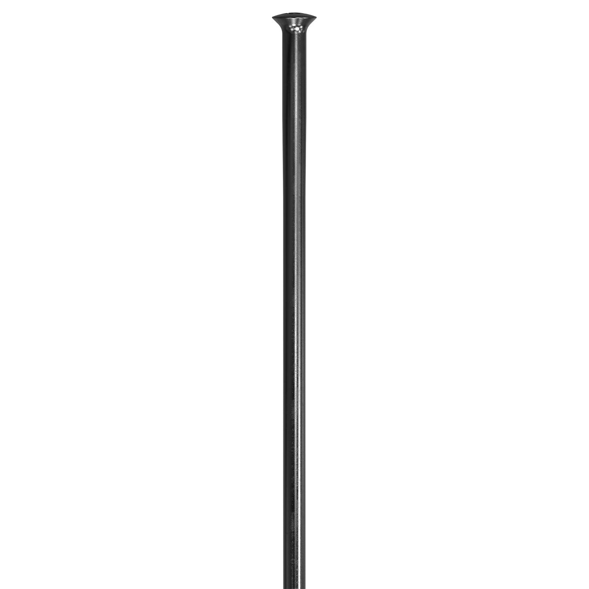 Champion 14g Spoke, SP, Black, 315mm Blank, 100/Ct