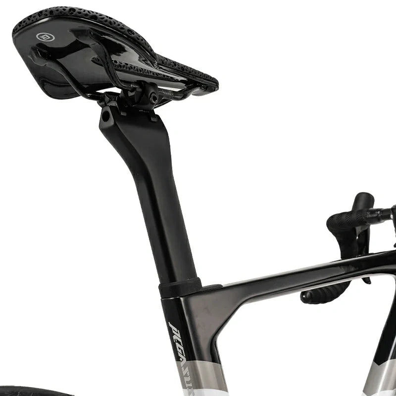 PGZ - Carbon Fiber Road Bike – Black and White