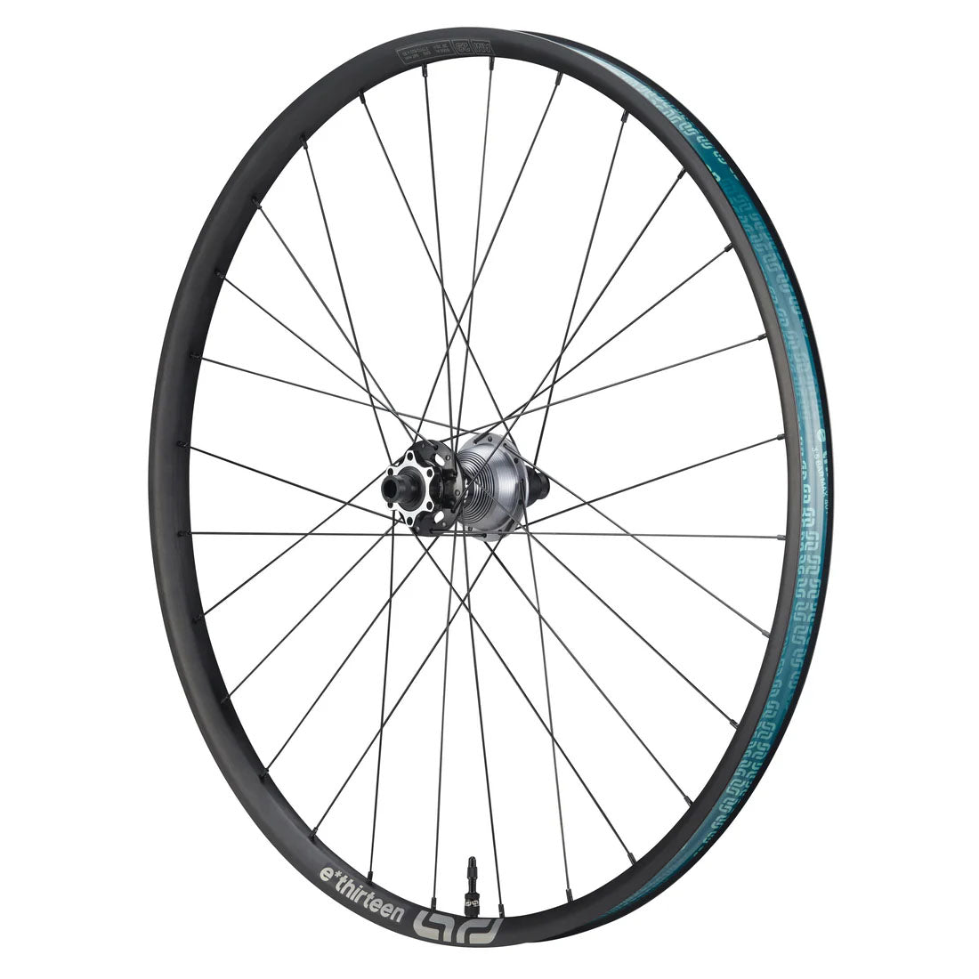 Sylvan Sidekick Race Alum F Whl, 29", 15x110 Blk NLS