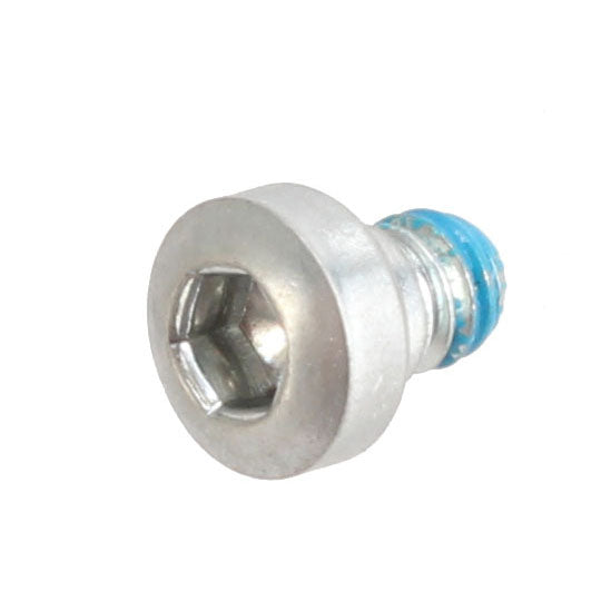 Lever Pivot Screw, R1 - Steel (2012+) Ea