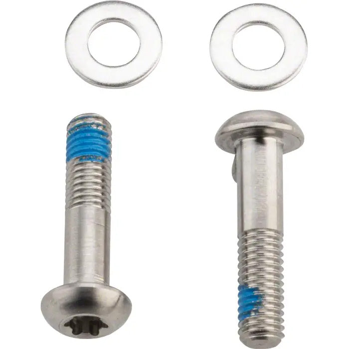 Flat Mount Bolts, 22mm Stainless T25, Pair