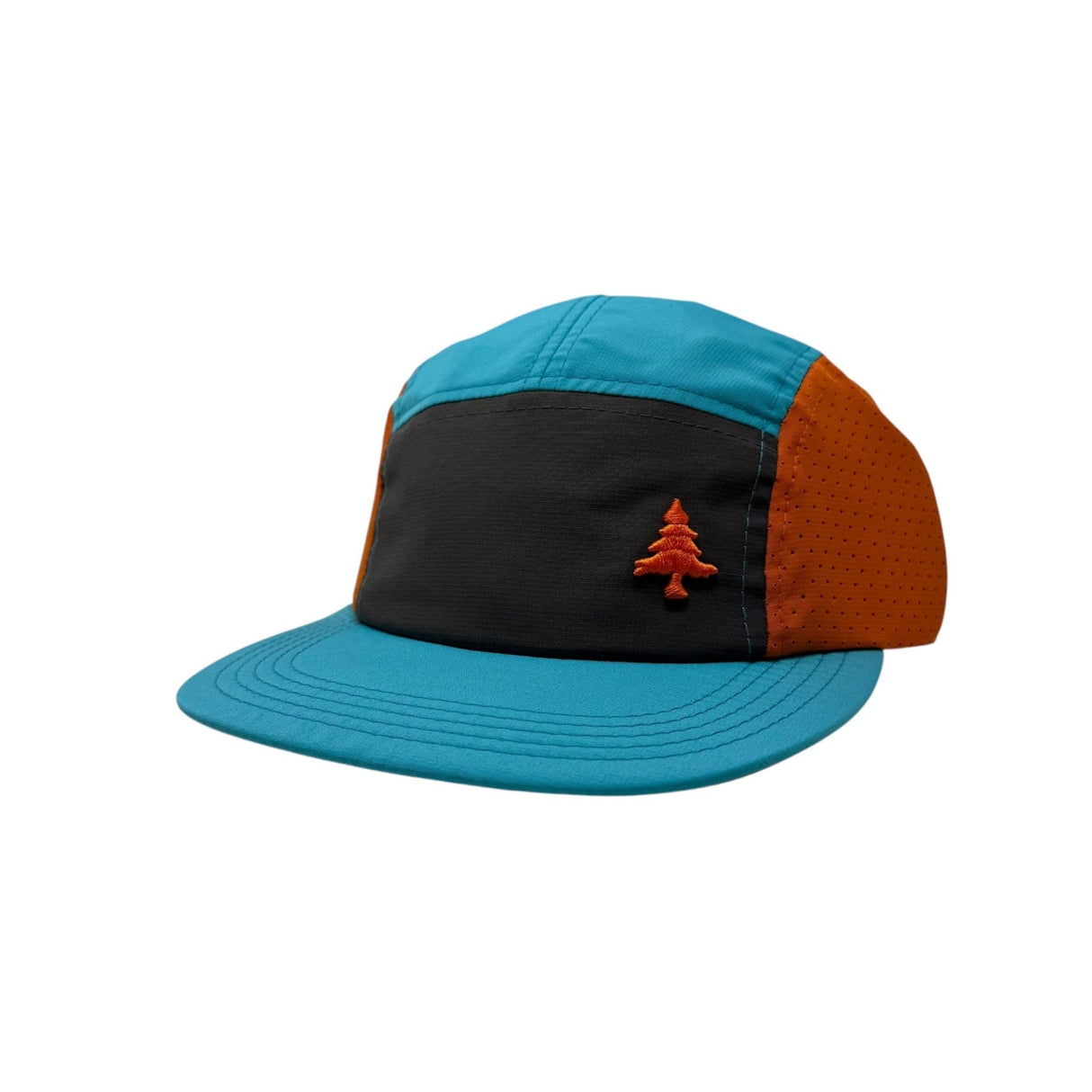 HLT Beyond 5P Cap