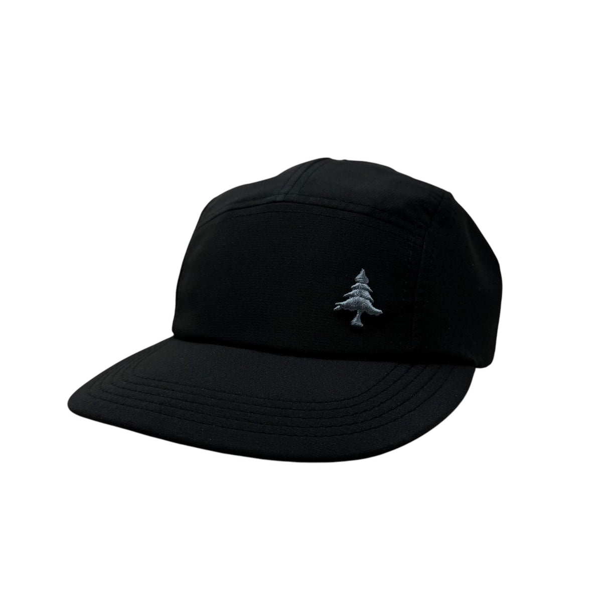 HLT Beyond 5P Cap