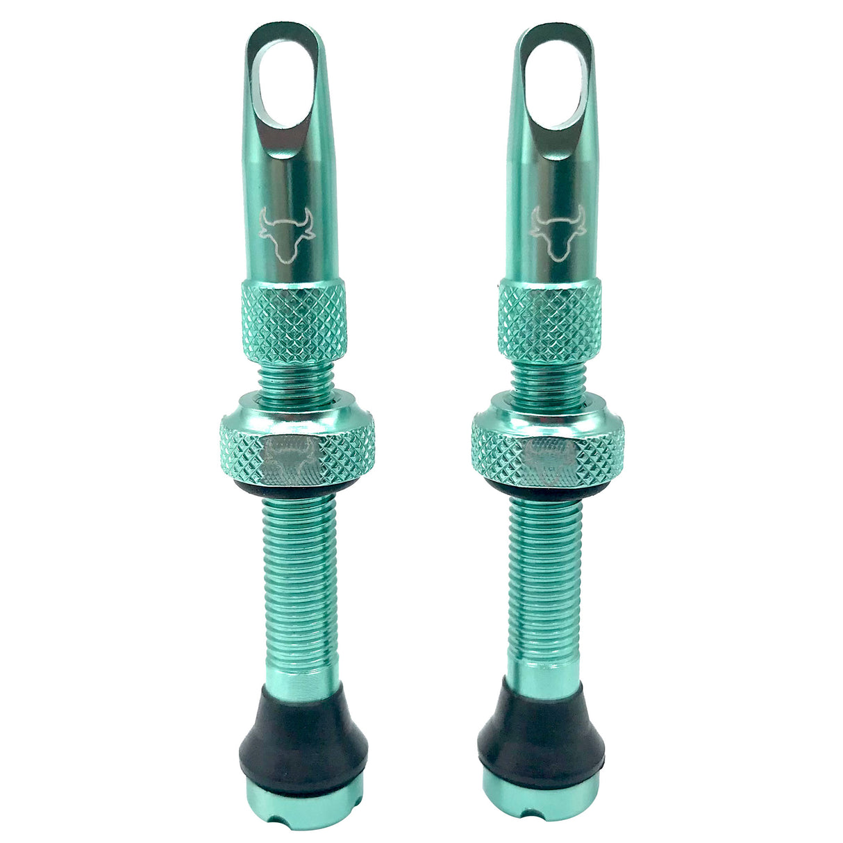 Tubeless Valve Stem, 42mm (Pair) - Turquoise