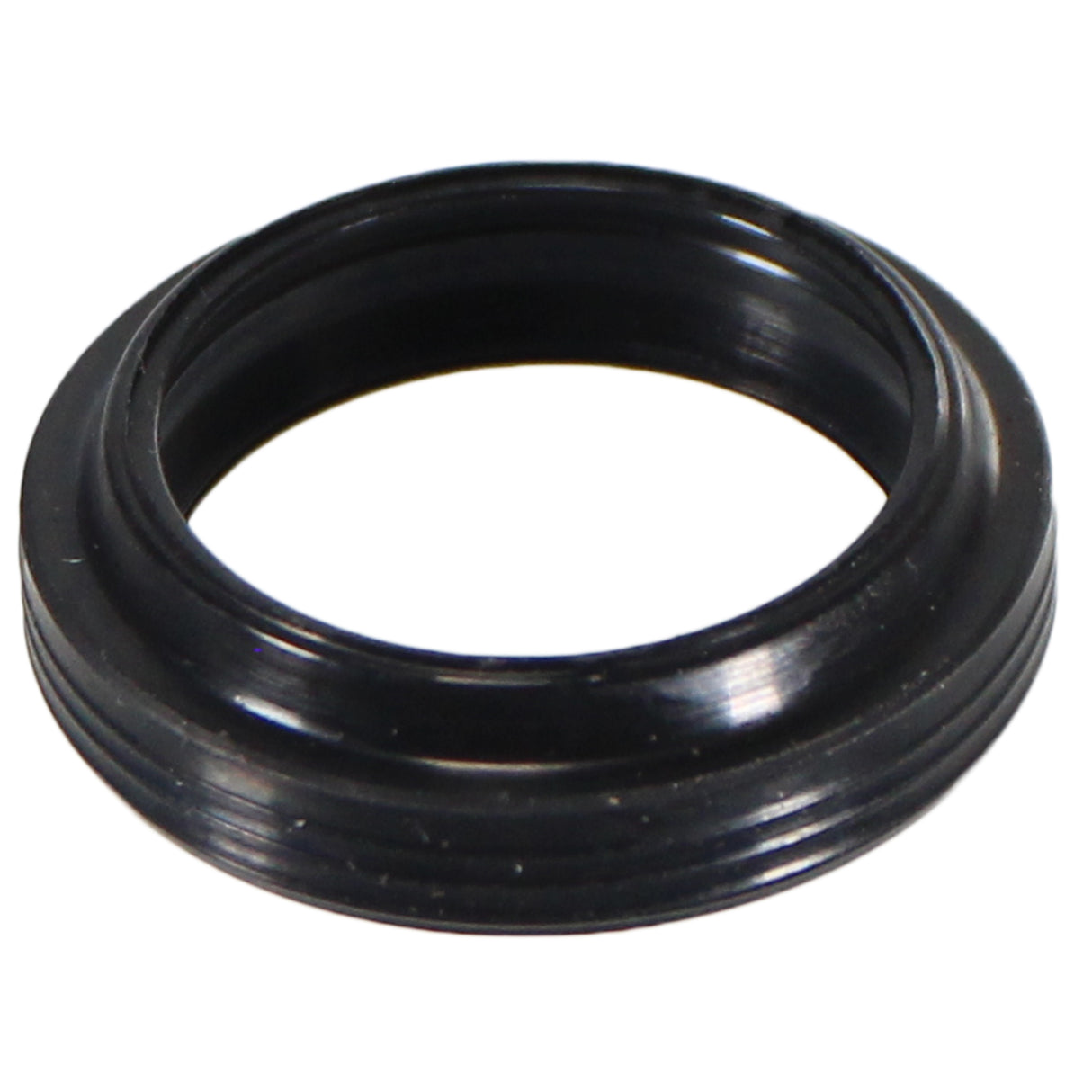 Wiper seal, RAGEi