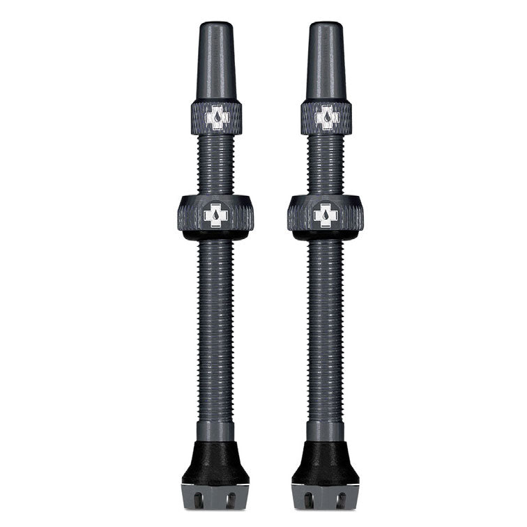 Tubeless Valve, 44mm, Pair - Gray V2
